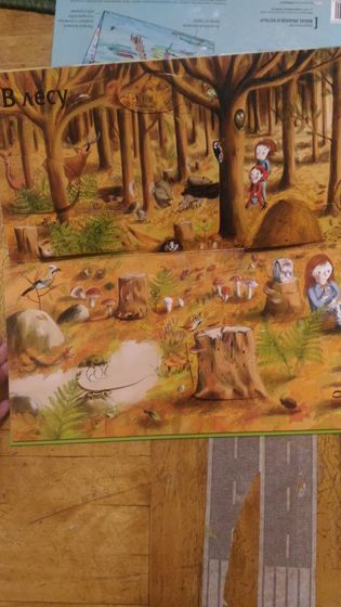Книжное пополнение