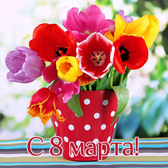 Девчули с нашим днём!!!! Ураа