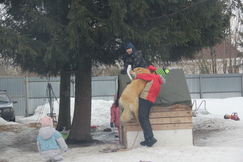 многофотопост