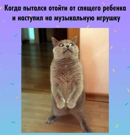 Всё так
