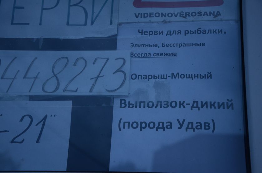 Что мы делали в наш недельный отпуск?