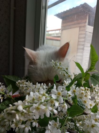 Моя 😍