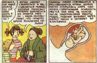 Детская книга “Откуда берутся дети?”