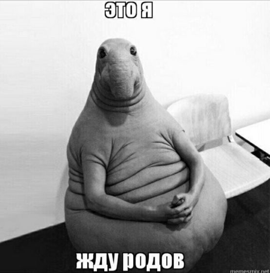 Скоро или не очень? 39,2