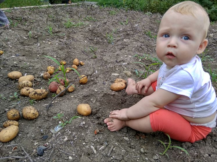 Еве 1 годик