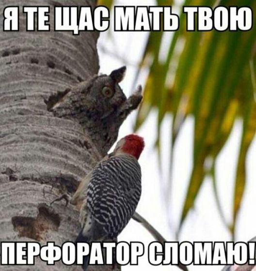 Немного позитива с утра