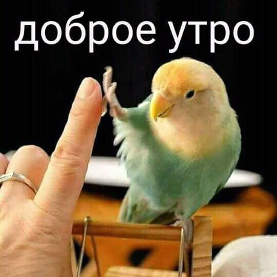 ???