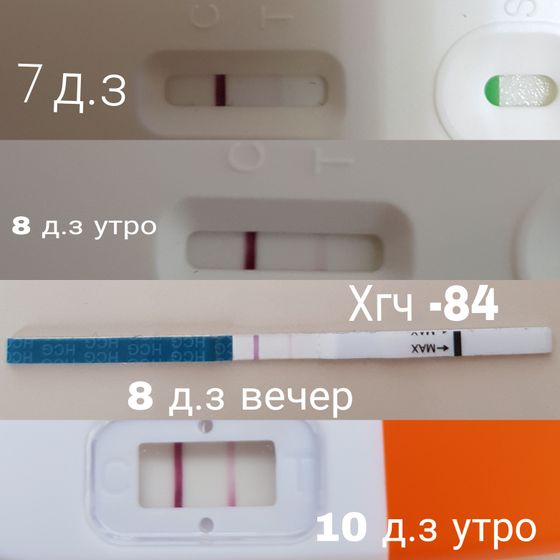 Тест и хгч