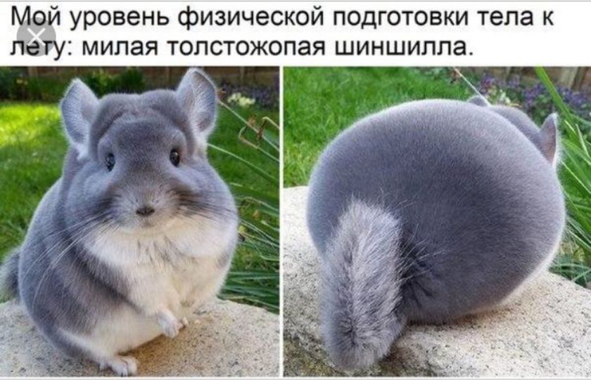 Владикавказ!!!! Помогите определиться с врачом и роддомом!!!