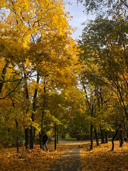 Наша осень 2018 🍁😍