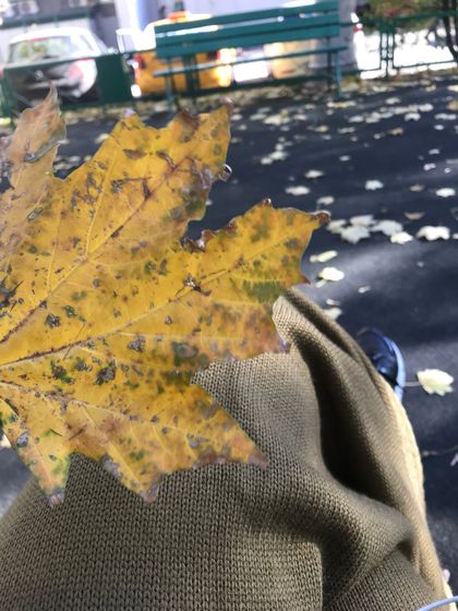 ??