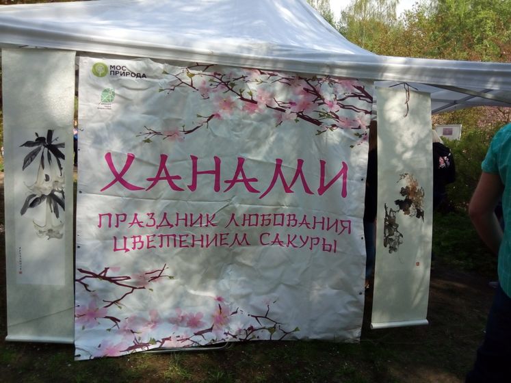 Бирюлевский дендропарк. Ч.1. Праздник ханами.