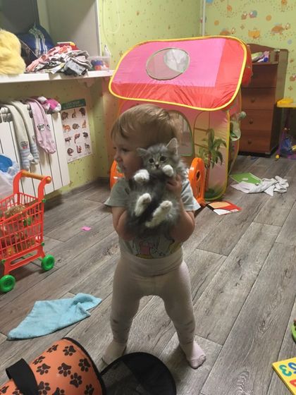 У нас пополнение