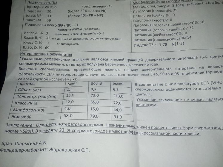 Все! Все мечты рухнули((( ( спермограмма)