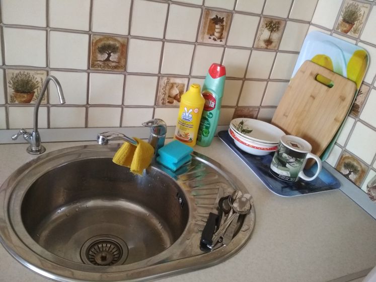 Неродивая домохозяйка поневоле