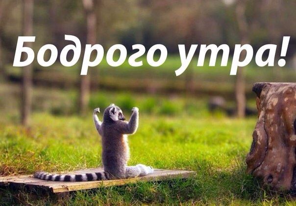 ВесеннийВзлёт // Шаг 3 // Ловим мысли за хвосты!