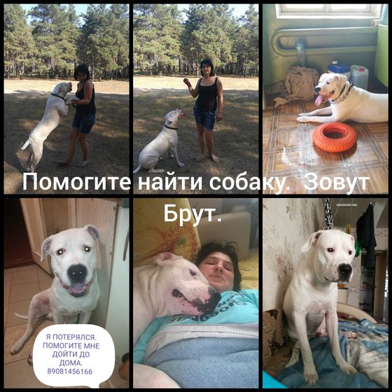пропал аргентинский ребенок