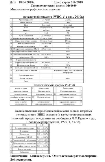 Спермограмма спустя 3 месяца