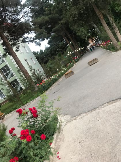 Погуляли