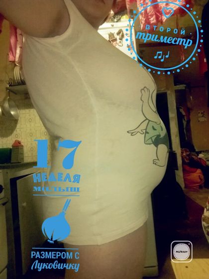 17 неделек