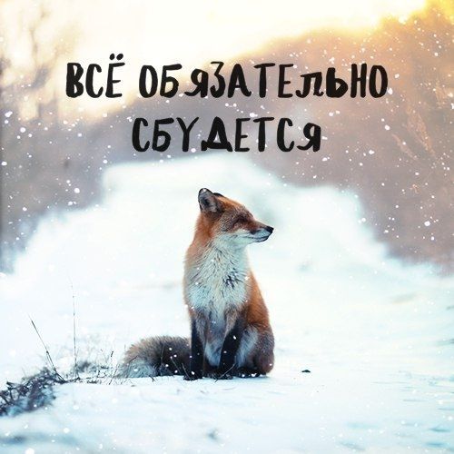 Когда нибудь
