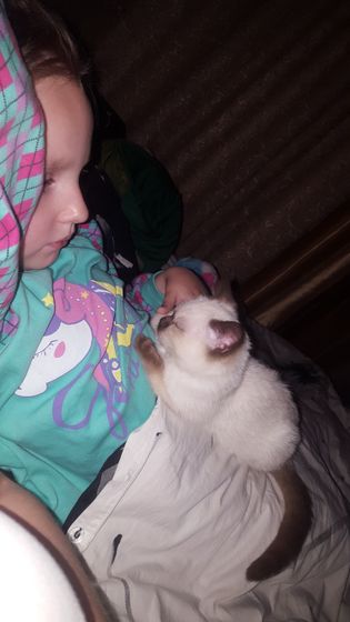 У нас пополнение ))