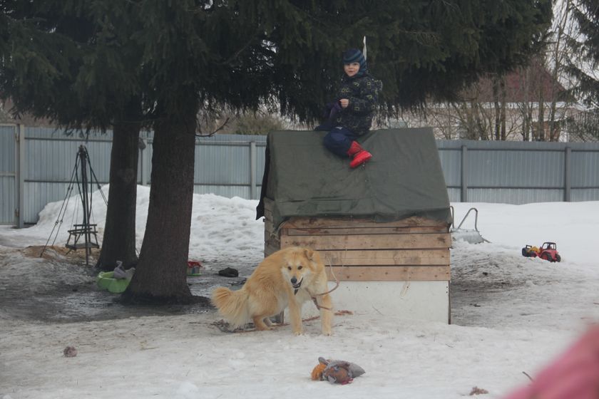 многофотопост