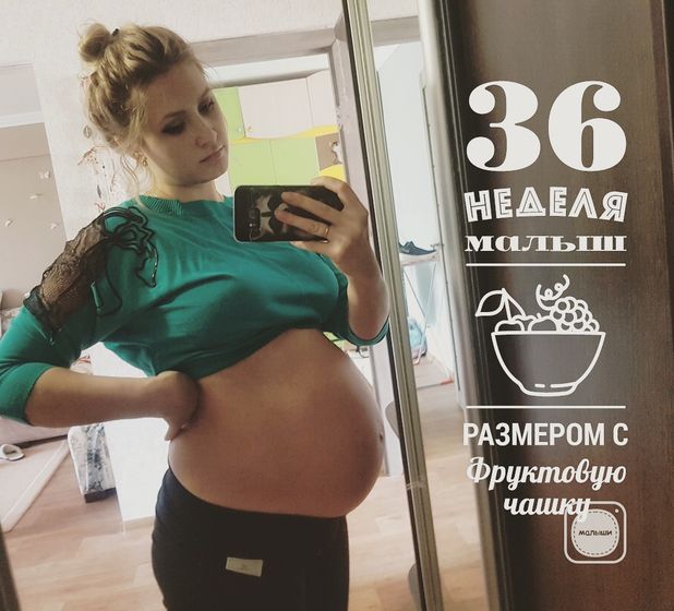 Наши 36 неделек