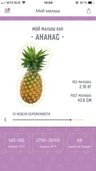 33 недели