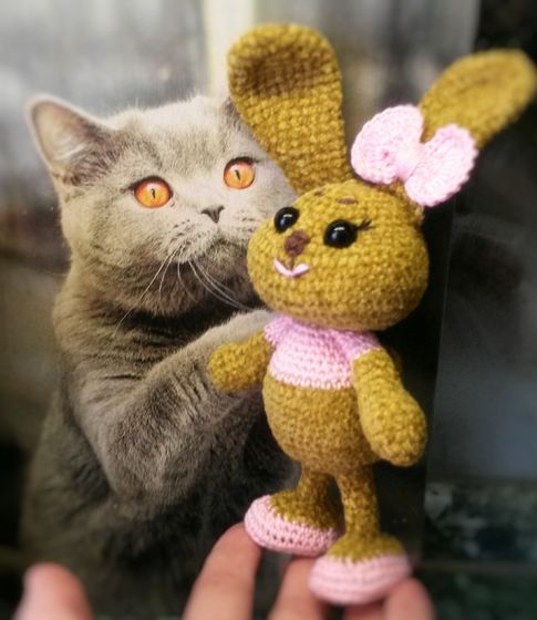 Связался очередной зайчишка