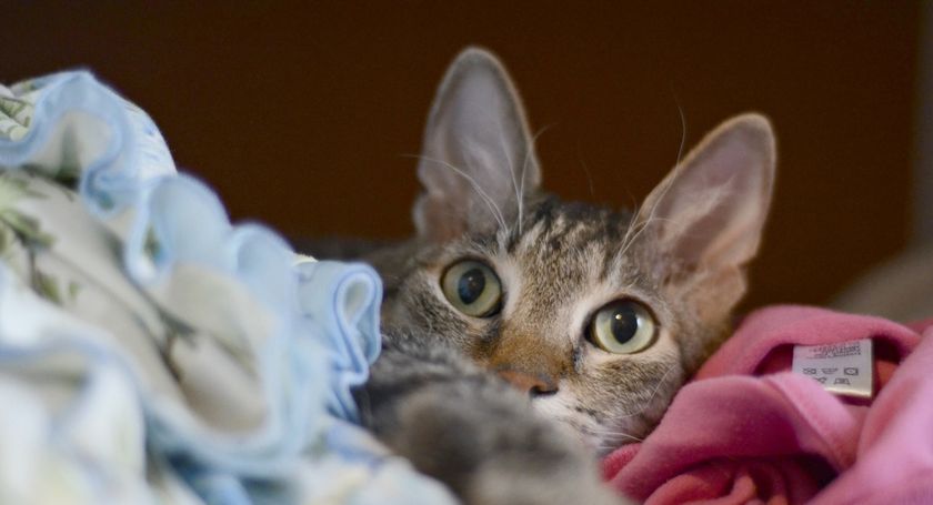 Моим подругам и не только! Немного новостей от меня)