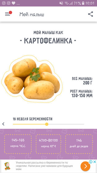 Нам сегодня 19 недель?