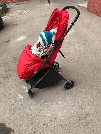 Коляска Everflo
