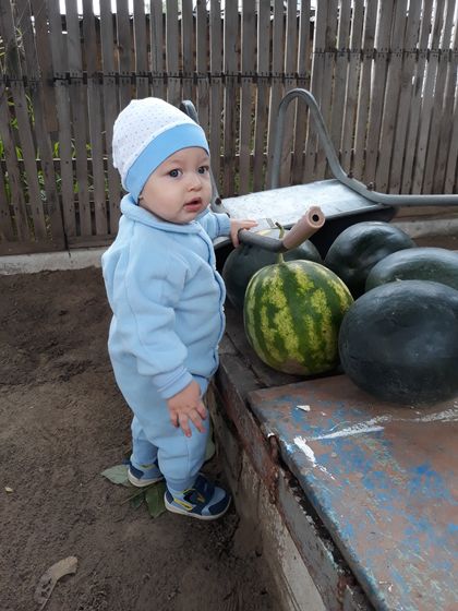 Печень