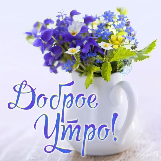 День 1/31. Понедельник.