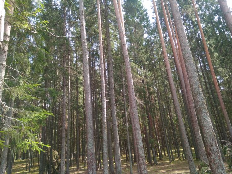 Селигер. Немного хвастовства