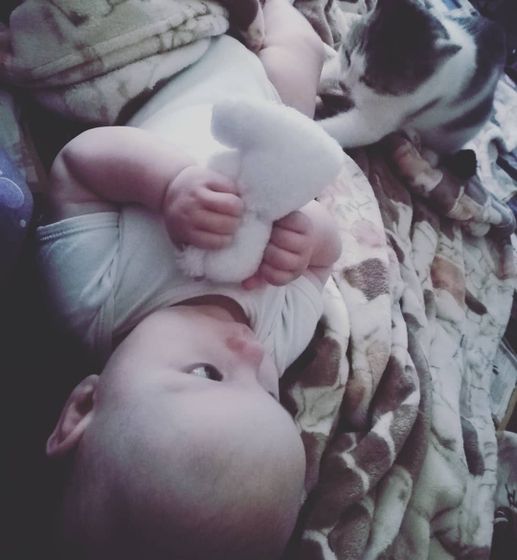 Наше доброе утро ?