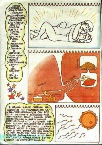 Детская книга “Откуда берутся дети?”