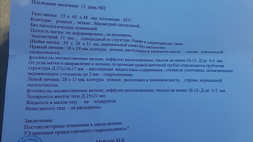 13 дц. Желтое тело 🤤😲😲😲