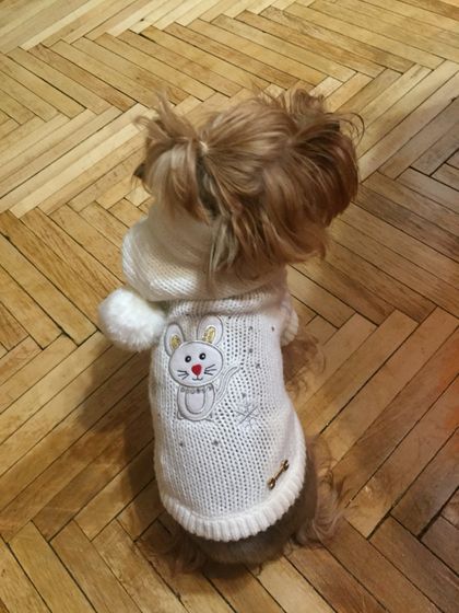 Отдам одежду на йорка