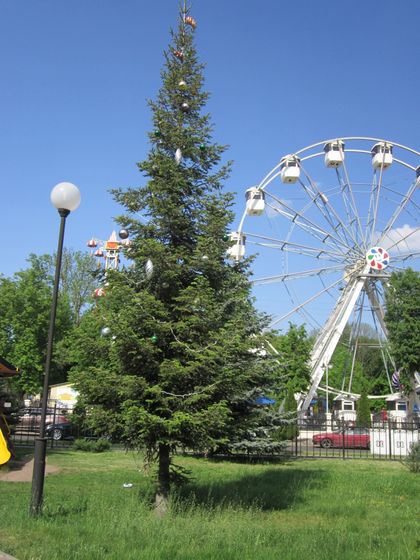 Наша прогулка