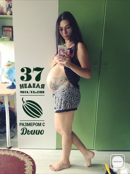 38 недель