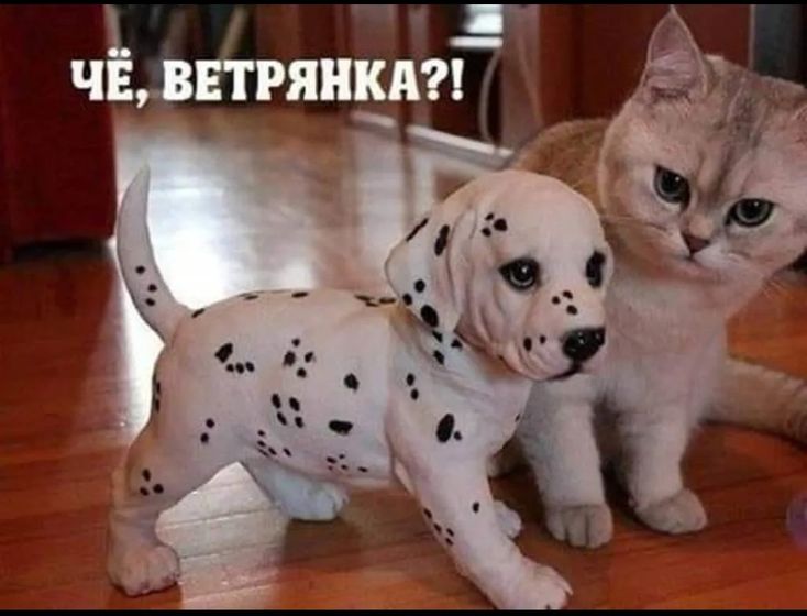 Актуально как никогда