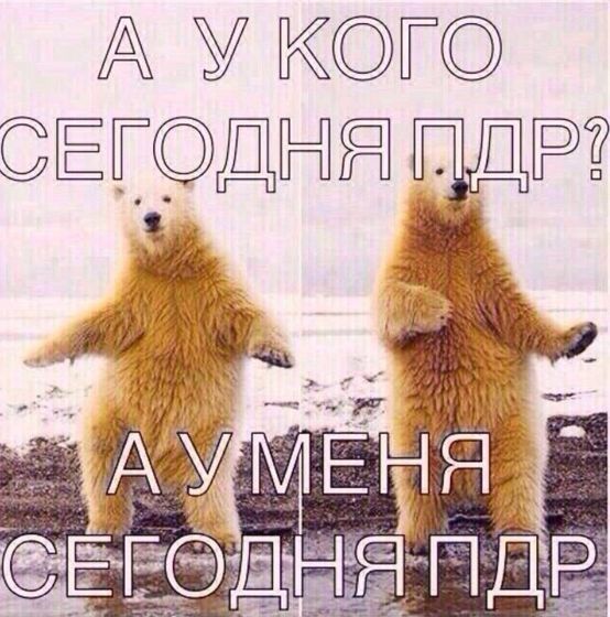 Пдр