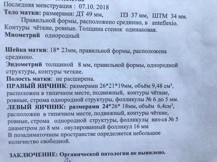 Ранняя О. Девочки, посмотрите, пожалуйста 🙏🏼