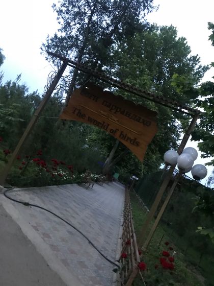 Погуляли