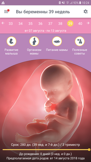 До родов ХЗ сколько