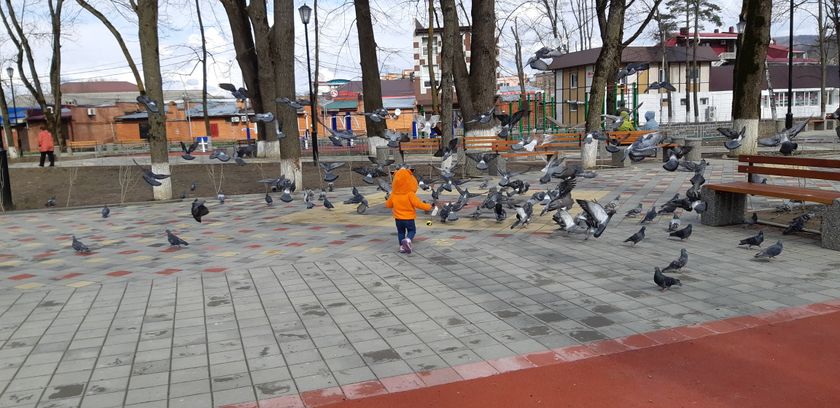 Наконец то солнышко ?