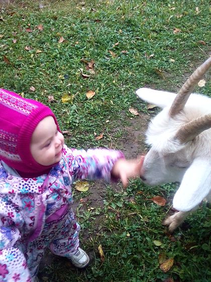 Немного Вики в ленту