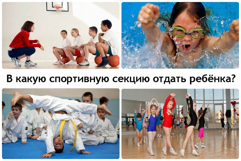 А на какие секции ходит Ваш талантище?